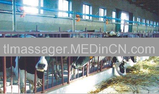 Pipeline Milking System