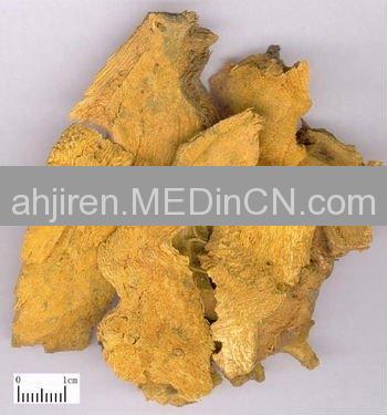 Rhizoma Polygoni Cuspidati Offered By Anhui Jiren Pharmaceutical Co ...